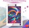 Diamond Painting Kits AB Diamond Art Kits for Adults,DIY Round Full Drill Colorful Starry Sky Gem Art Kits Rainbow Eyes Abstract Paint by Diamonds Handmade Gift Home Decor 11.81 * 15.74in